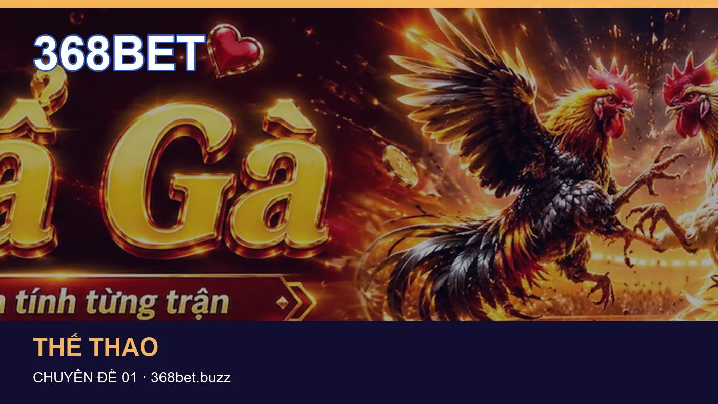 Những nhầm lẫn thường gặp khi đọc nội dung Hướng dẫn trên 368BET