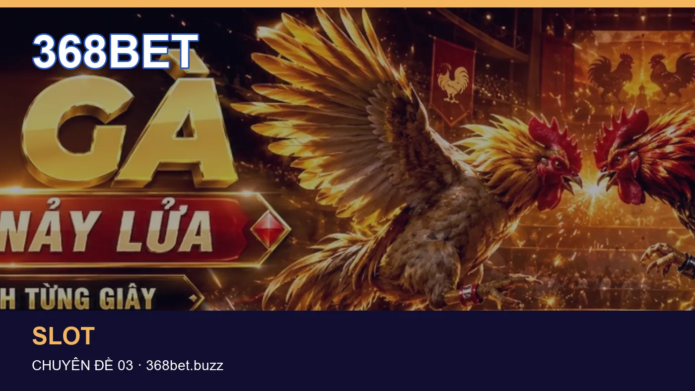 Trải nghiệm Hướng dẫn trên điện thoại cùng cẩm nang 368BET